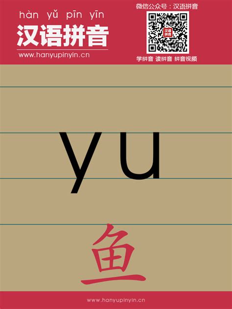 yu第三声的字|拼音yu的汉字